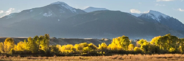 Big Sky AI Forum Logo